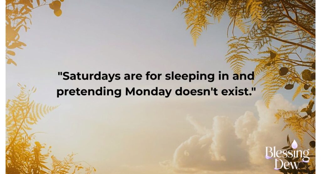 Funny Saturday Quotes