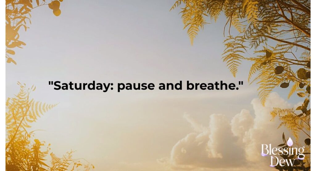 Saturday Quotes Short